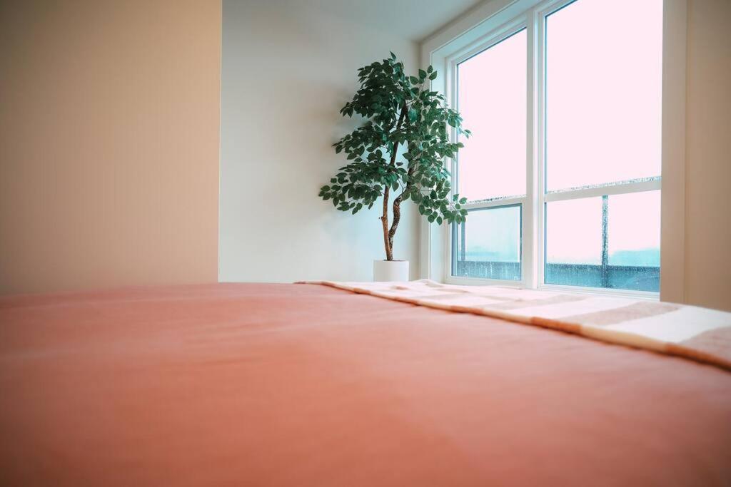 哈利法克斯Chic Cozy Retreat - 2Br - Stunning North End Views公寓 外观 照片